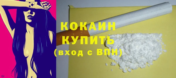 шишки Нея